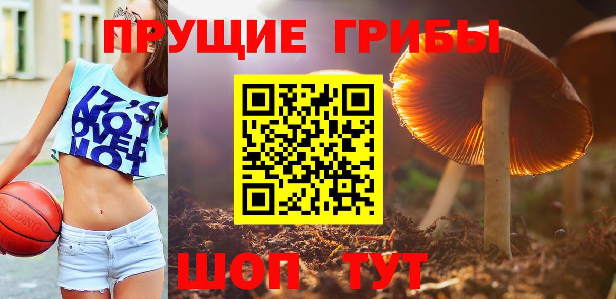 Псилоцибиновые грибы Magic Shrooms  Вход с VPN  Новотроицк 